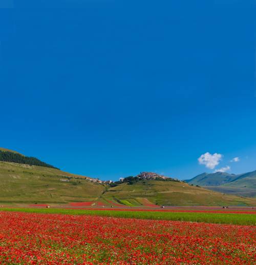 Castelluccio non si arrende per un piatto di lenticchie