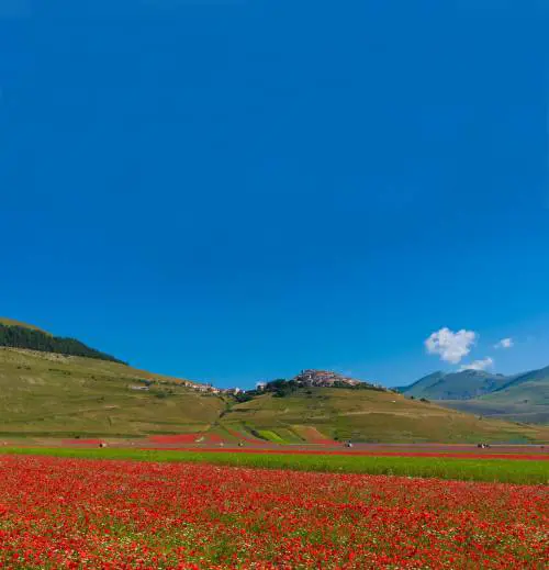 Castelluccio non si arrende per un piatto di lenticchie