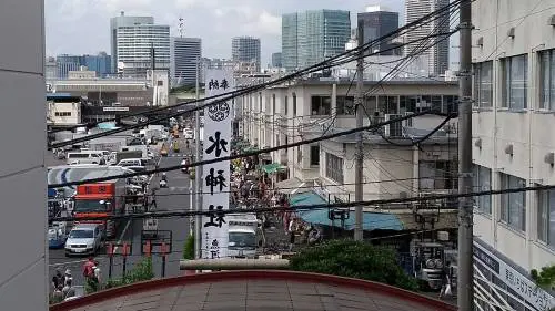 Tsukiji, il mercato (mondiale) del pesce a Tokyo