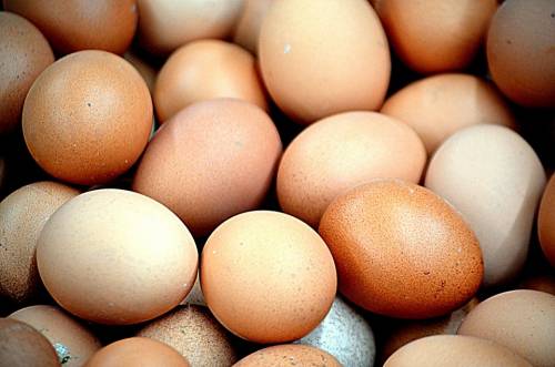 Oltre 200mila uova a rischio sequestrate a Roma e Parma