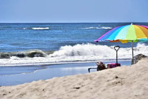 Belgio, no a spiaggia nudista: "Minaccia per fauna selvatica"