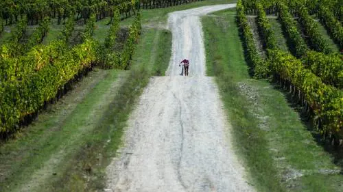 L'asfalto sta facendo nere le strade bianche del Chianti