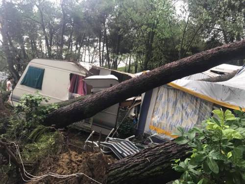 Veneto colpito dal maltempo: alberi sradicati in un campeggio