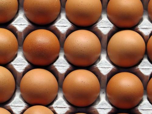 Le uova contaminate:  almeno 90mila sequestri