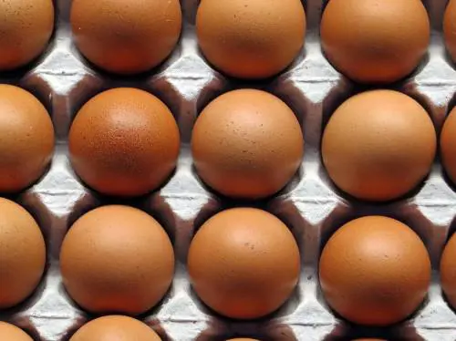 Uova al Fipronil pure in Italia Il ministero: «Nessun rischio»