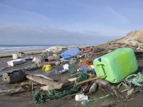 Allarme parassiti sulle coste italiane: "Così ho preso la scabbia"