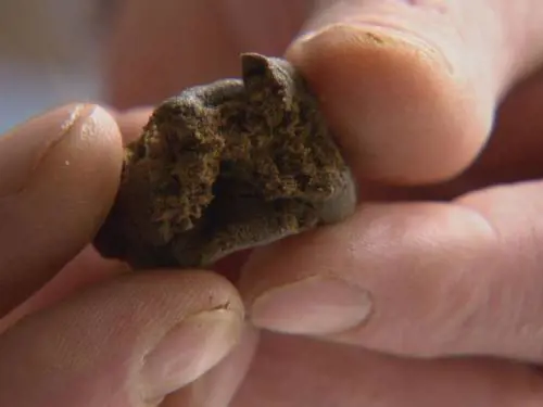 Bimba di un anno ingerisce hashish e finisce in terapia intensiva
