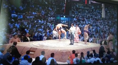 Tradizione, app e dirette tv: il sumo in Giappone