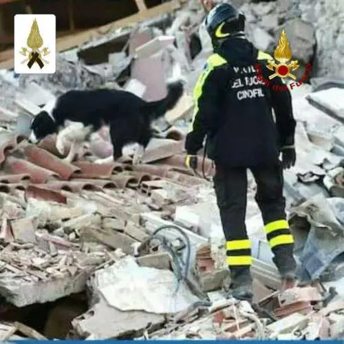 Un monumento dedicato a Camilla la cagnetta eroina morta sul «lavoro»