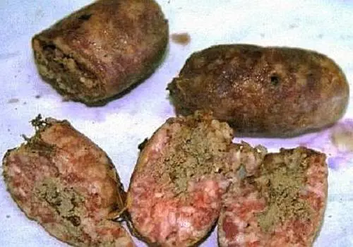 Cani, a Genova è emergenza polpette avvelenate