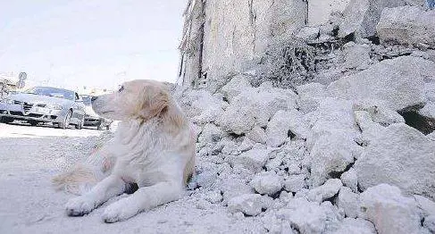 Il trenino dell'horror ​che gira per le macerie di Amatrice