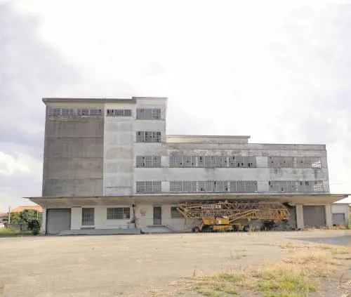 Viaggio nella Pianura Padana dove sono tornati i caprioli