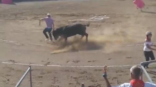 L'animalista interrompe la corrida ma il toro lo incorna