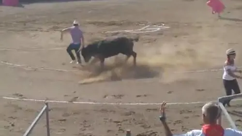 L'animalista interrompe la corrida ma il toro lo incorna