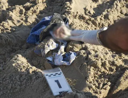 Stupro di Rimini, Polonia invia investigatori: "Non lasceremo questa cosa agli italiani"