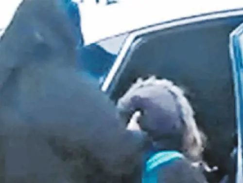 "Sarà segnata dal trauma. Così le strappano l'identità"