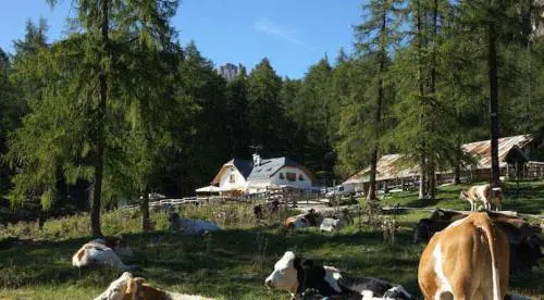 L'agriturismo El Brite de Larieto