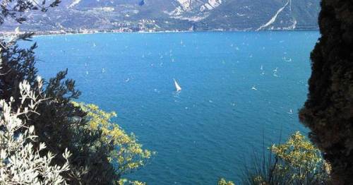 Trentino, vietati i bagni nel lago di Garda: "Acque troppo inquinate"
