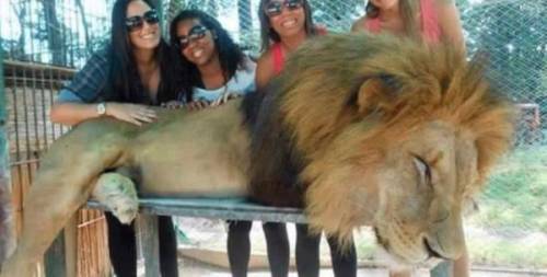 Buenos Aires, uno zoo droga gli animali per far fare le foto ai turisti