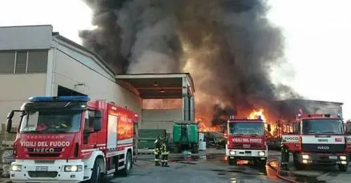 Diossina: che cos'è e gli effetti sulla salute