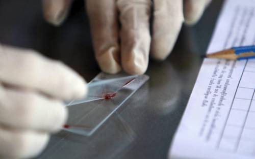 Trovato il vaccino per la malaria, l'Oms: "Il momento è storico"