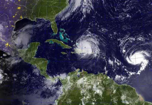 Il misterioso mostro marino trovato dopo l'uragano Harvey