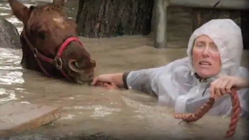 Incendi e maltempo: ecco le cose da fare per salvare gli animali