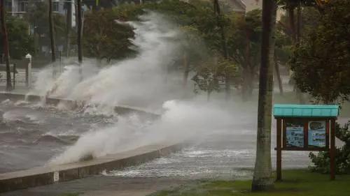 "Irmageddon", se la natura uccide due volte