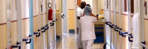 Ravenna, donna morta per una variante umana della mucca pazza