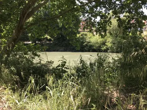 Roma, la spiaggia sul Tevere aprirà i battenti ad agosto