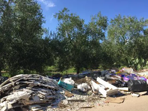 Bitonto, le discariche tra gli ulivi