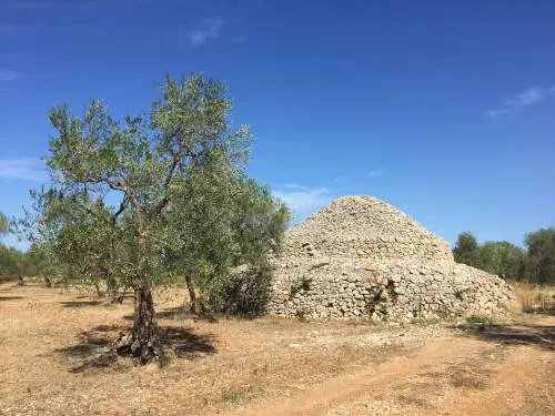 Ladri e furti nei campi: Bitonto è un "Far West"