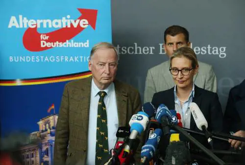 L'accusa dello Spiegel all'Afd: "Finanziati da un miliardario"