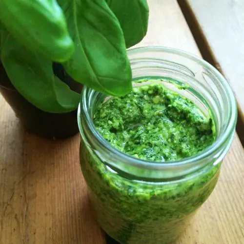 Il Guardian boccia il pesto: "Contiene troppo sale"