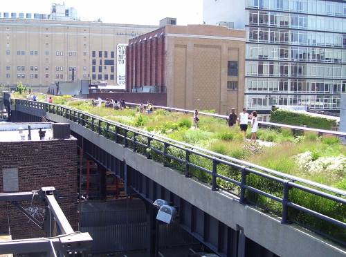 Il miracolo dell'High Line: ecco il parco pensile che ha riacceso New York