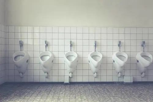 Se il WC ci interessa più di Michelangelo