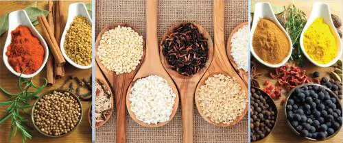 Food, allo scoperta dei sapori e dei prodotti tipici di El Salvador