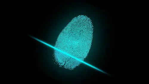 Lo studio: "Le impronte digitali ​non sono più uniche"