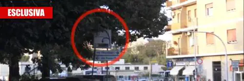 A Roma come nella giungla: allarme per i rami incolti che nascondono la segnaletica