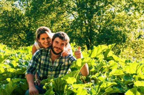 Il giardino delle meraviglie che si può anche mangiare