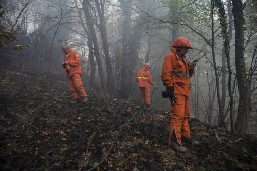 Incendi in Val di Susa. Chiamparino chiede stato di emergenza