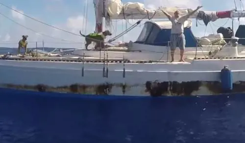 Alla deriva per 5 mesi nel Pacifico: salvate due donne