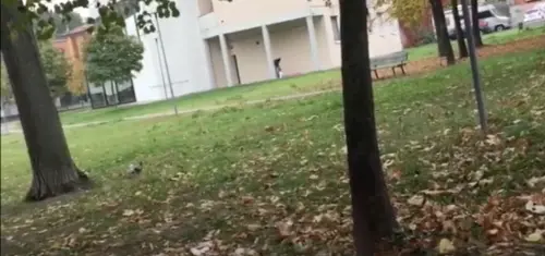 Bologna, immigrato si masturba di fronte ad una scuola