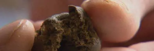 Cosenza, bimbo di 11 mesi in terapia intensiva per aver mangiato un pezzo di hashish