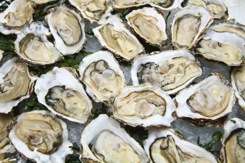 Venezia, pranzo da 526 euro. Il turista scrive al sindaco