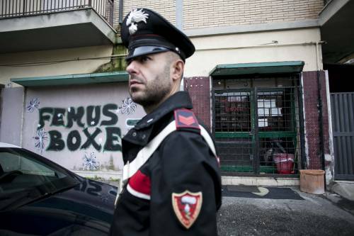 I grillini cavalcano il caso ma il violento tifava per loro