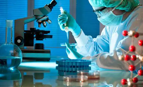Così Anna combatte il cancro, in ricevitoria per aiutare Airc