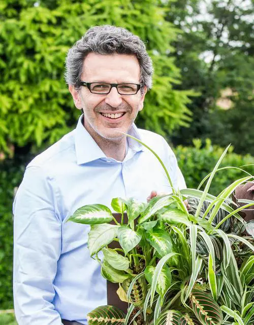 Quasi quasi mi faccio il bosco verticale in bagno