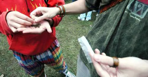 San Basilio, blitz delle forze dell'ordine: sequestrate armi e droga