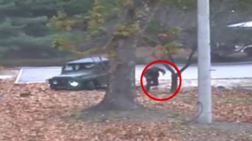 Corea, una diserzione scatena l'ira Onu. "Così Pyongyang viola l'armistizio del '53"